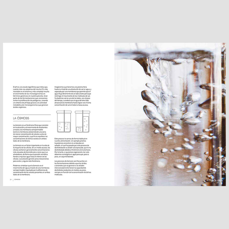 Libro - "Fermentar" de Robert Ruiz Moreno