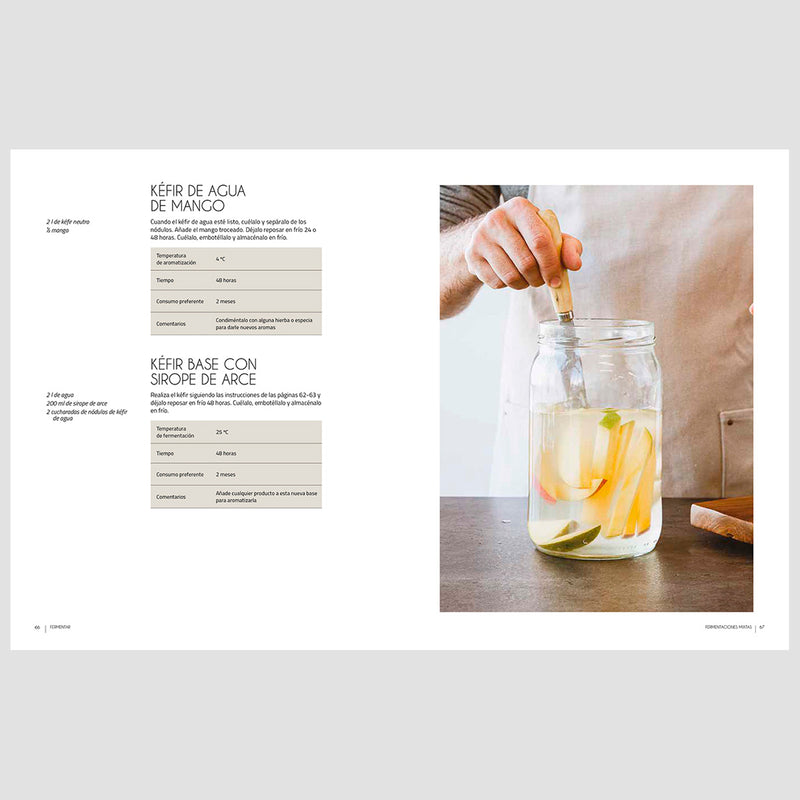 Libro - "Fermentar" de Robert Ruiz Moreno