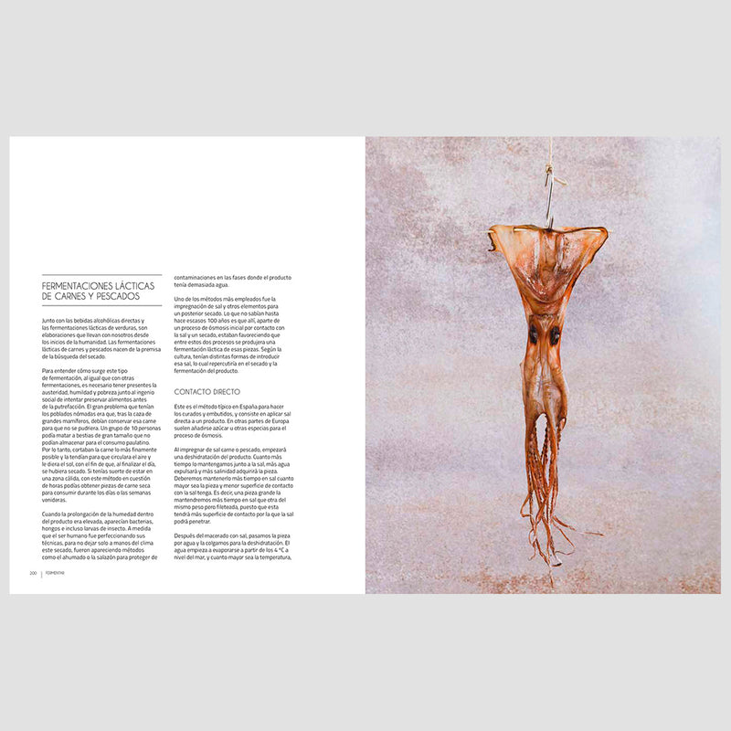 Libro - "Fermentar" de Robert Ruiz Moreno