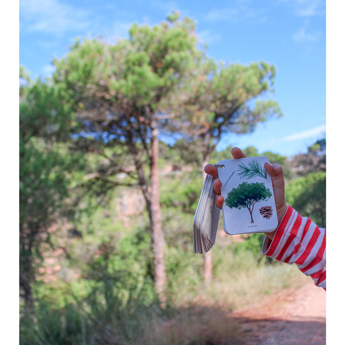 Guía - "Fíjate: Árboles" de Anna Sanjuan y Carme Clopés