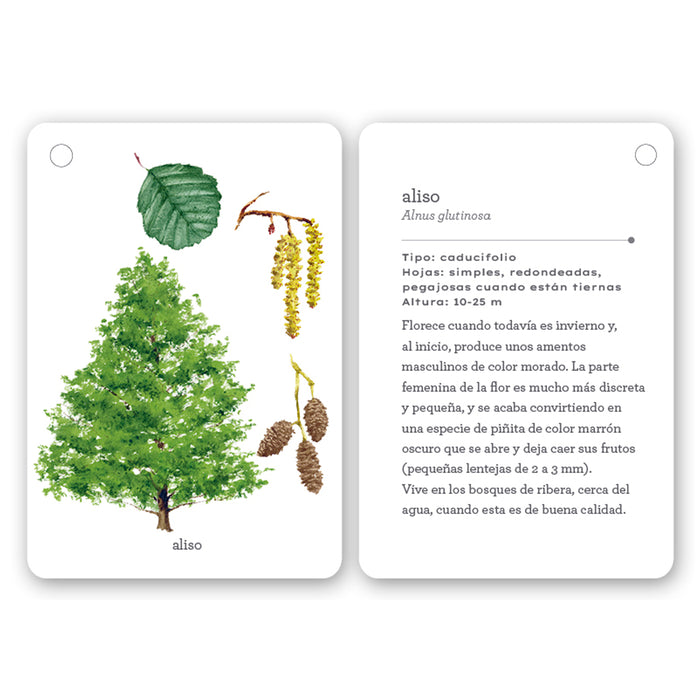 Guía - "Fíjate: Árboles" de Anna Sanjuan y Carme Clopés