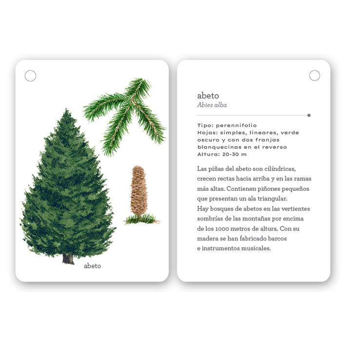 Guía - "Fíjate: Árboles" de Anna Sanjuan y Carme Clopés