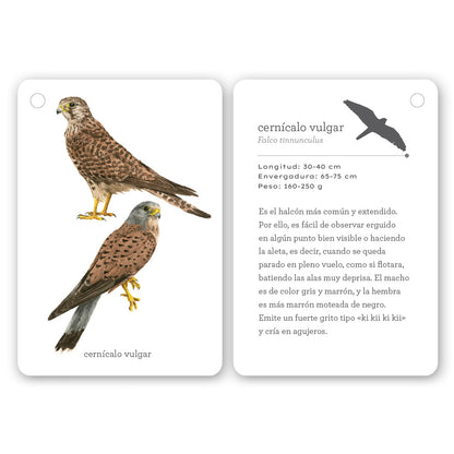 Guía - "Fíjate: Aves" de Anna Sanjuan y Ramón Baucells