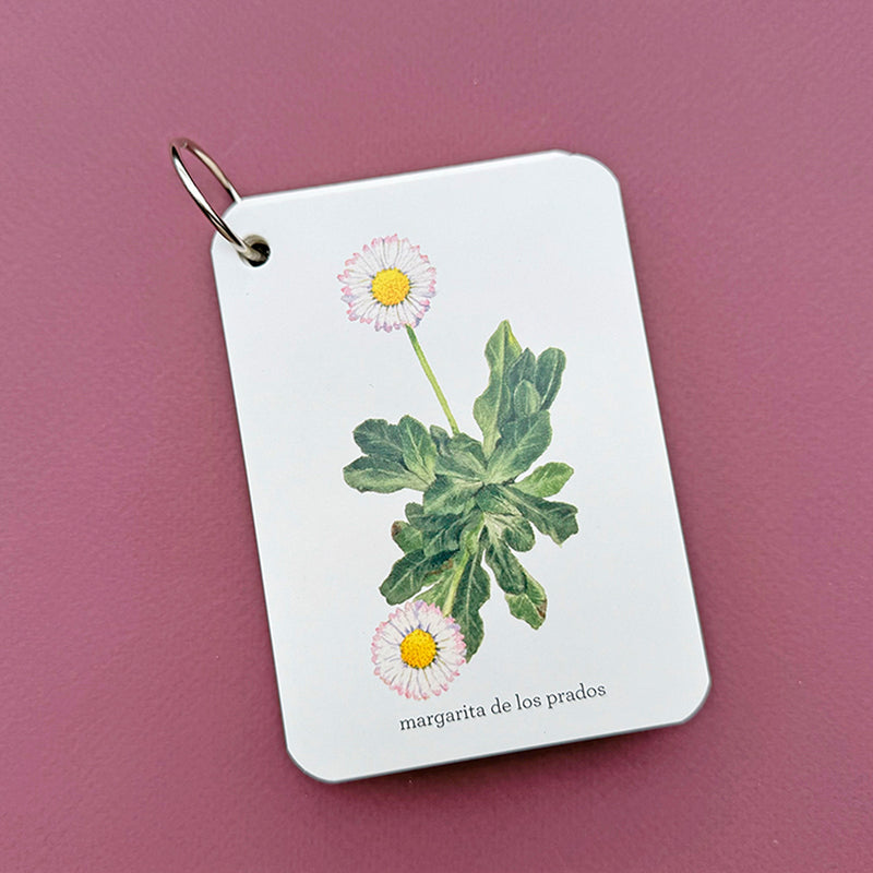 Guía - "Fíjate: Flores Silvestres" de Anna Sanjuan y Ramon Baucells