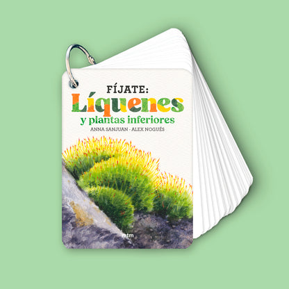 Guía - "Fíjate: Líquenes y Plantas Inferiores" de Anna Sanjuan Alex Nogués