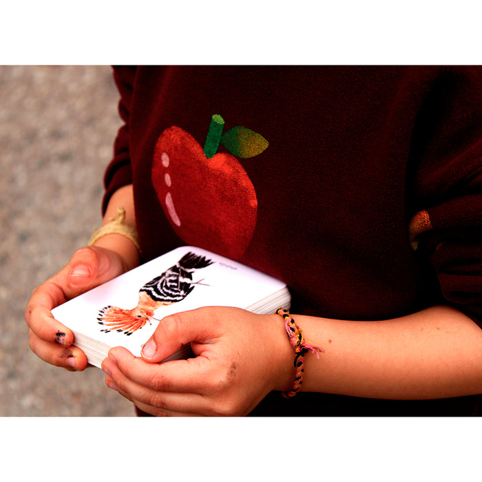 Guía - "Fíjate: Pájaros" de Anna Sanjuan y Ramón Baucells