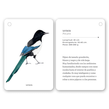 Guía - "Fíjate: Pájaros" de Anna Sanjuan y Ramón Baucells