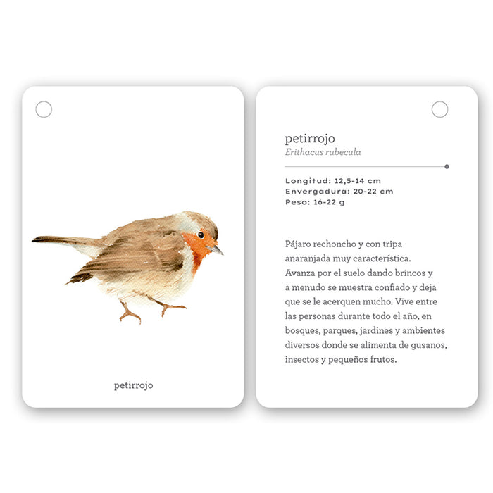 Guía - "Fíjate: Pájaros" de Anna Sanjuan y Ramón Baucells