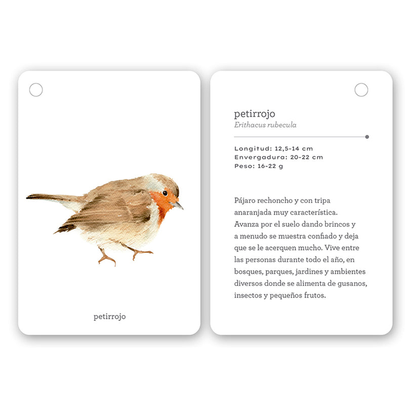 Guía - "Fíjate: Pájaros" de Anna Sanjuan y Ramón Baucells
