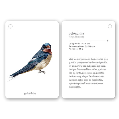 Guía - "Fíjate: Pájaros" de Anna Sanjuan y Ramón Baucells