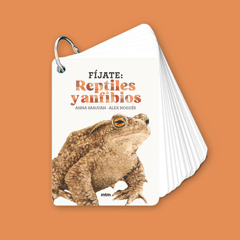 Guía - "Fíjate: Reptiles y Anfibios" de Anna Sanjuan y Alex Nogués