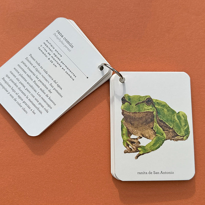 Guía - "Fíjate: Reptiles y Anfibios" de Anna Sanjuan y Alex Nogués