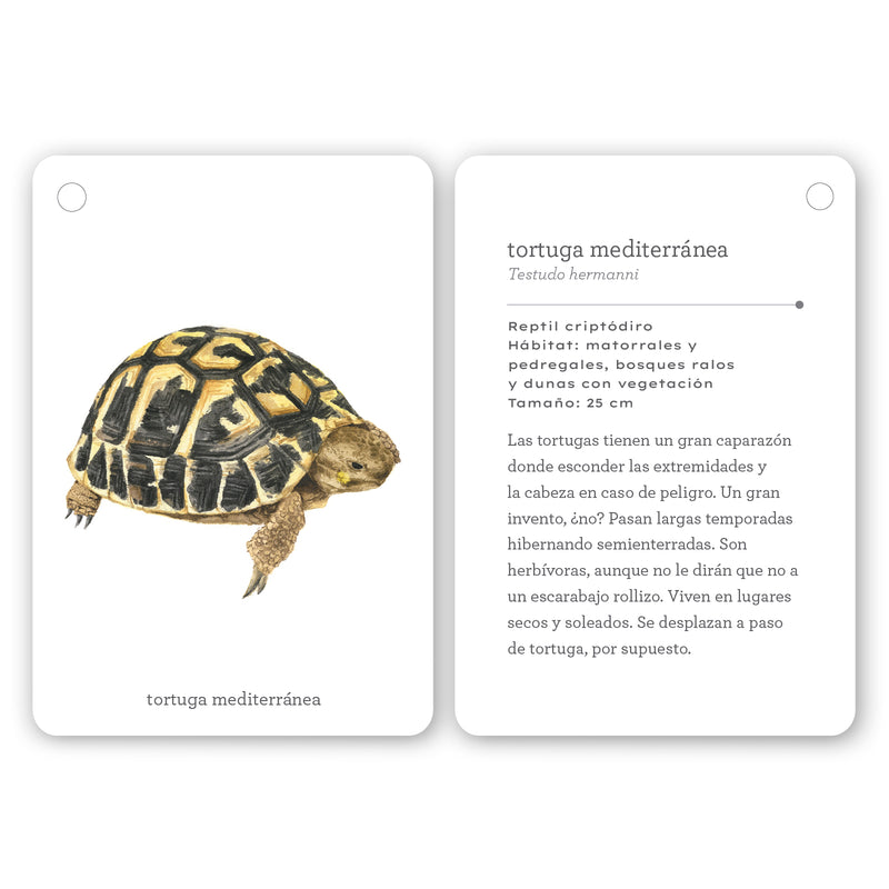 Guía - "Fíjate: Reptiles y Anfibios" de Anna Sanjuan y Alex Nogués