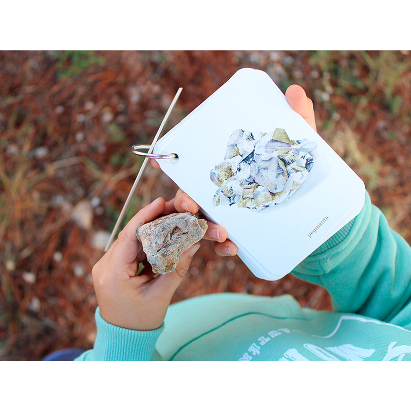 Guía - "Fíjate: Rocas" de Anna Sanjuan y Alex Nogués