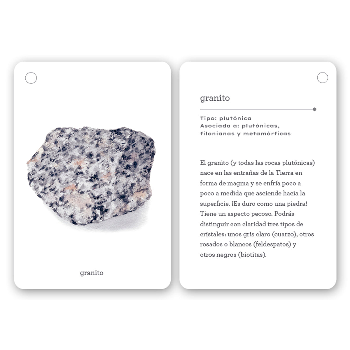 Guía - "Fíjate: Rocas" de Anna Sanjuan y Alex Nogués