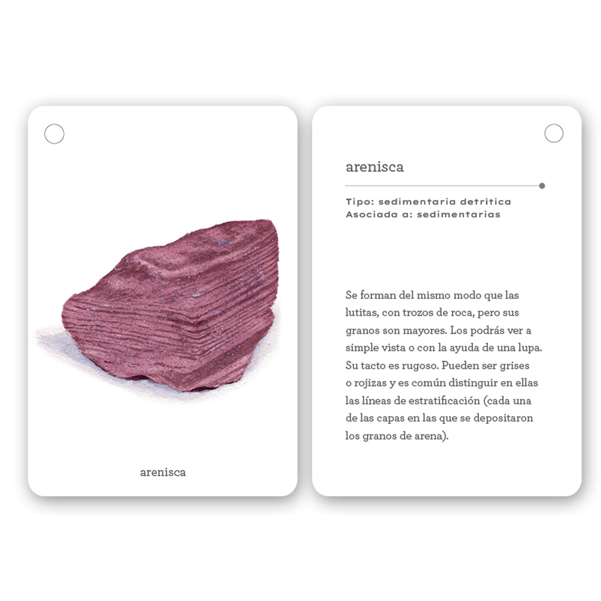 Guía - "Fíjate: Rocas" de Anna Sanjuan y Alex Nogués