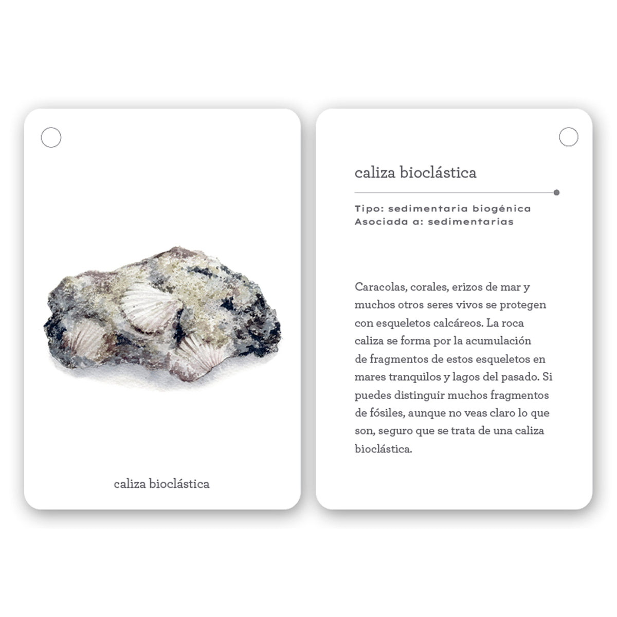 Guía - "Fíjate: Rocas" de Anna Sanjuan y Alex Nogués