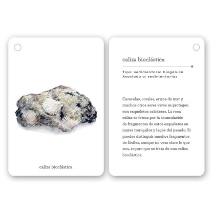 Guía - "Fíjate: Rocas" de Anna Sanjuan y Alex Nogués