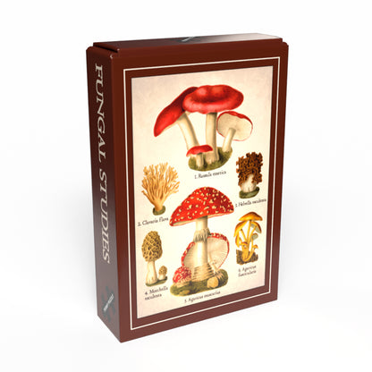 Puzzle Mini - Fungal Studies 🍄
