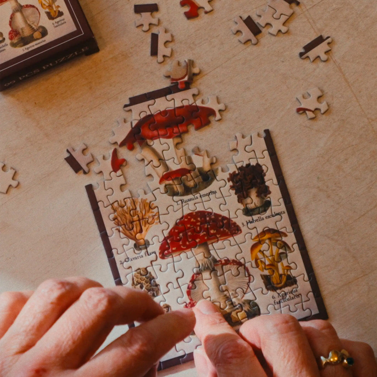 Puzzle Mini - Fungal Studies 🍄