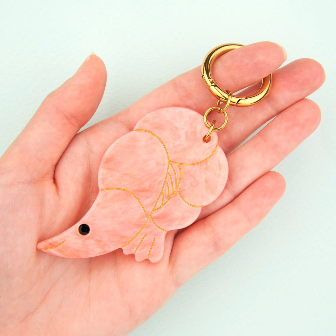Charm - Gamba 🦐