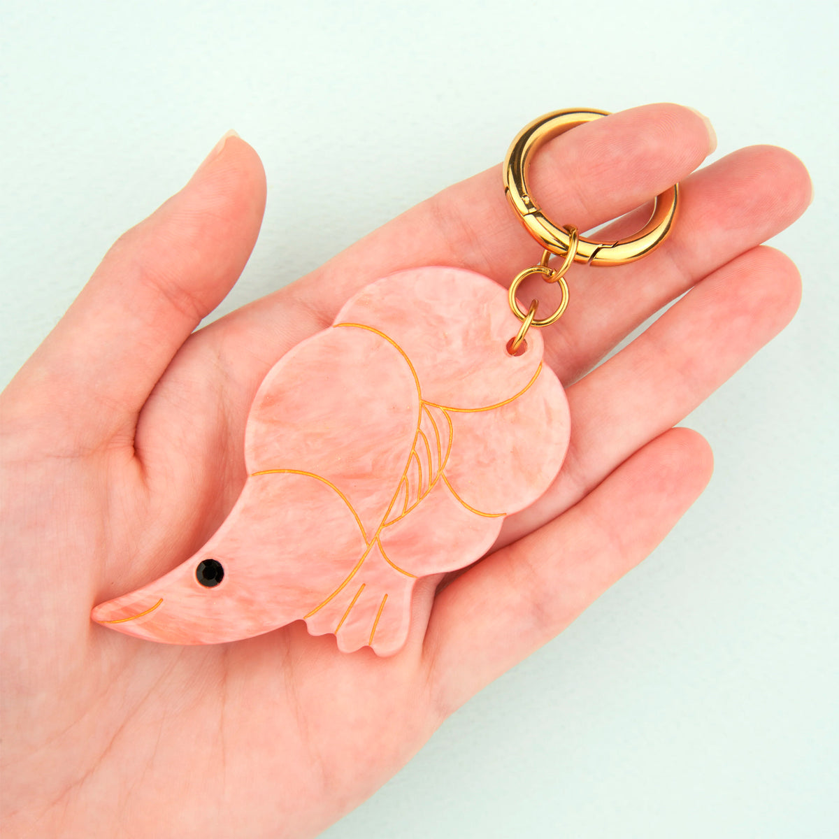 Charm - Gamba 🦐