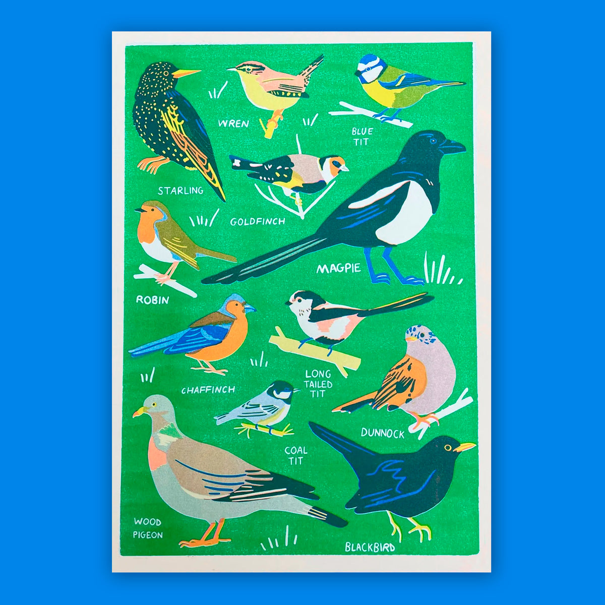 Print de Naomi Wilkinson A3 - "Garden Bird"