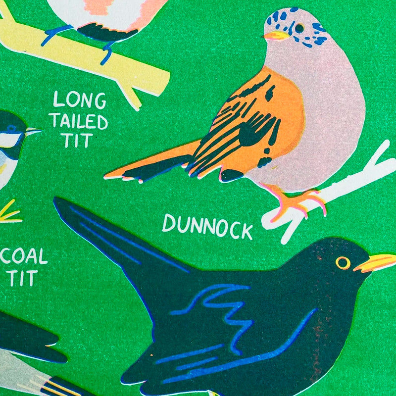 Print de Naomi Wilkinson A3 - "Garden Bird"