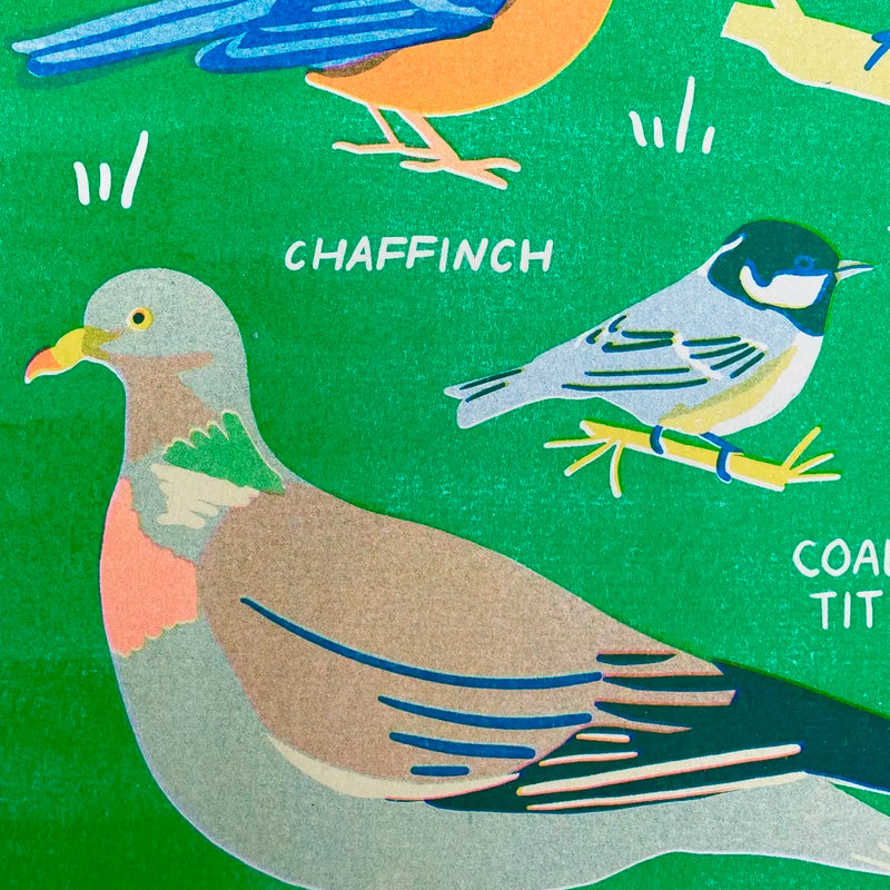 Print de Naomi Wilkinson A3 - "Garden Bird"