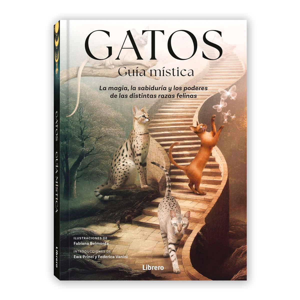 Libro - "Gatos, Guía Mística" de Fabiana Belmonte