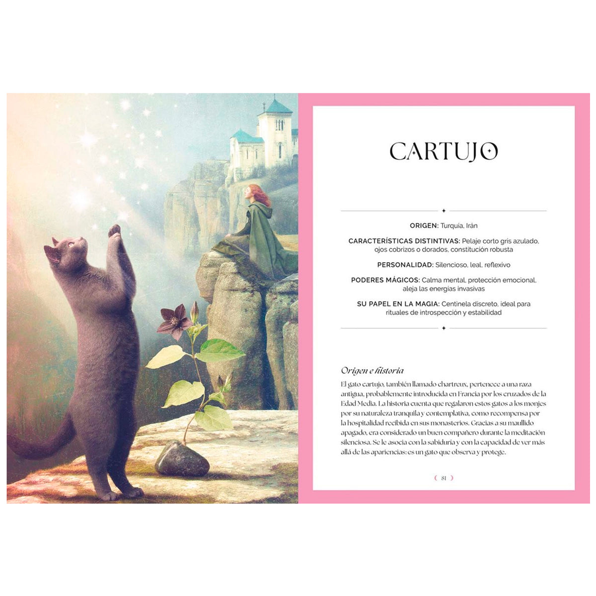 Libro - "Gatos, Guía Mística" de Fabiana Belmonte