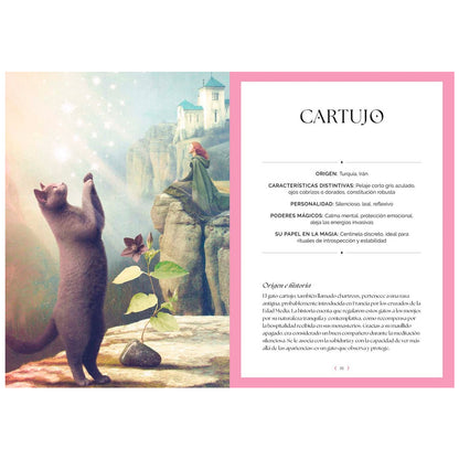 Libro - "Gatos, Guía Mística" de Fabiana Belmonte