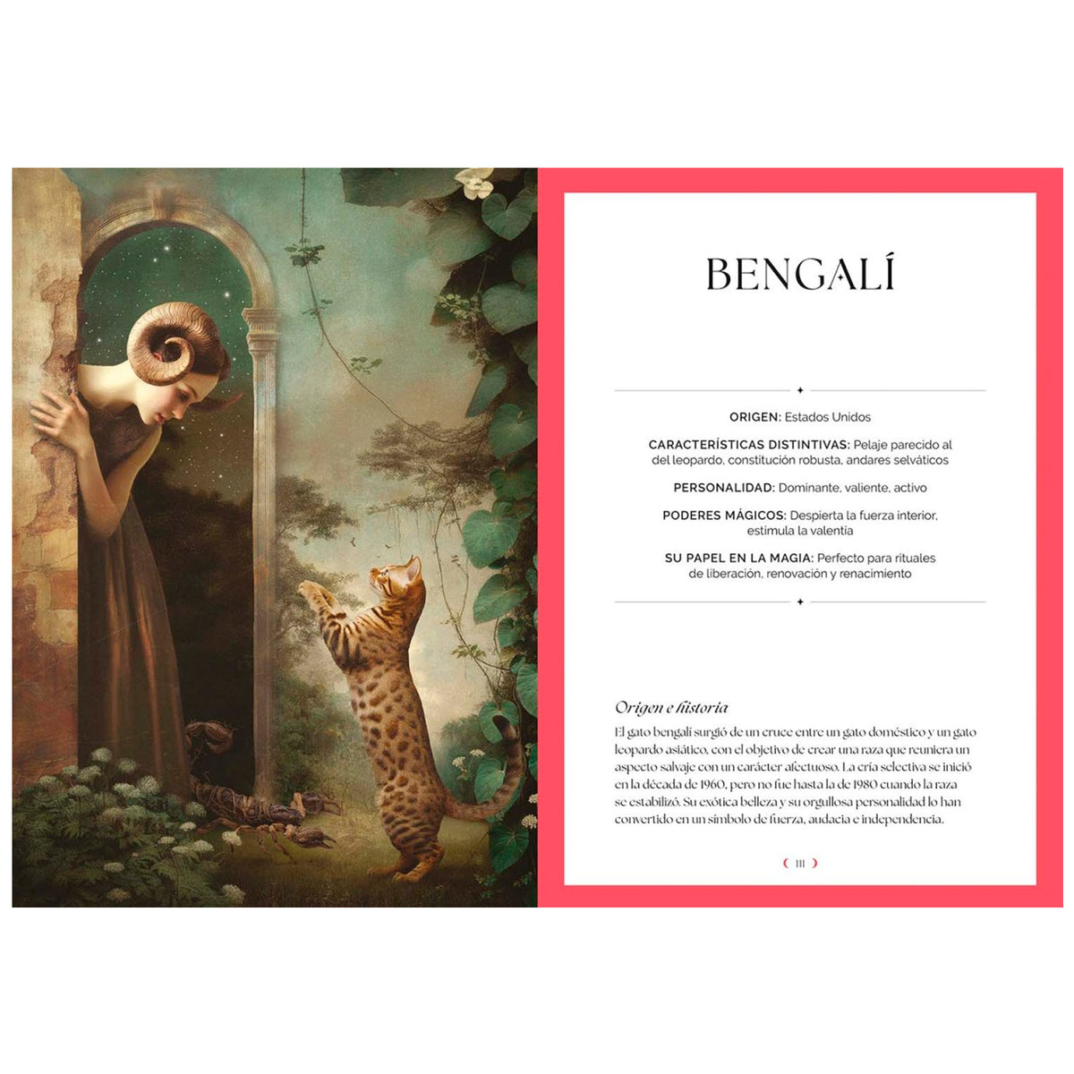 Libro - "Gatos, Guía Mística" de Fabiana Belmonte