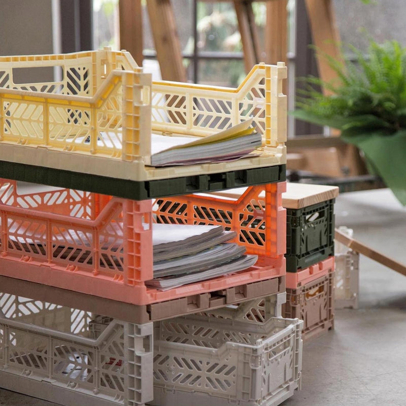 Caja plegable grande - Orchid