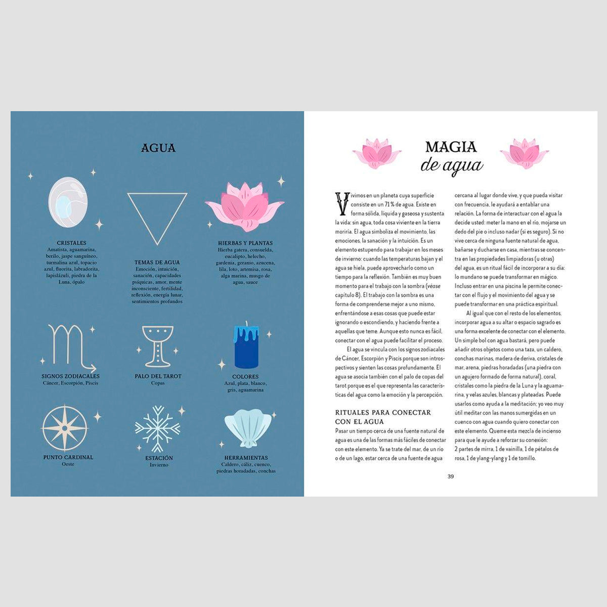 Libro - "Guía de la bruja del bosque. Magia de la Tierra" de Lindsay Squire