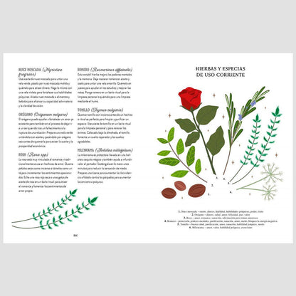 Libro - "Guía de la bruja del bosque. Magia Natural" de Lindsay Squire