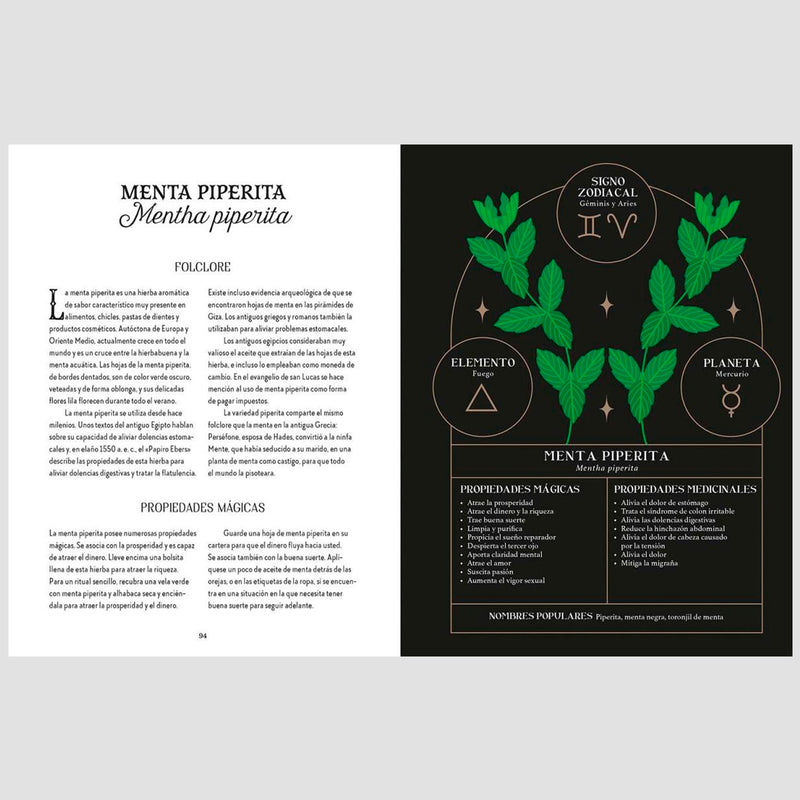 Libro - "Guía de la bruja del bosque. Magia Tradicional" de Lindsay Squire