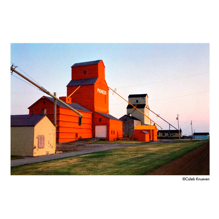 Película - Harman Phoenix II 200 36Exp.