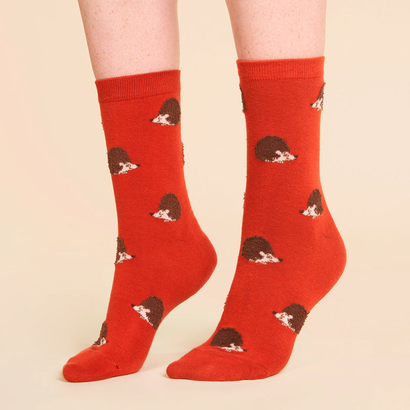 Calcetines - Erizo 🦔