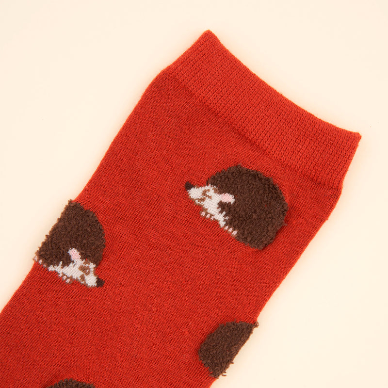 Calcetines - Erizo 🦔