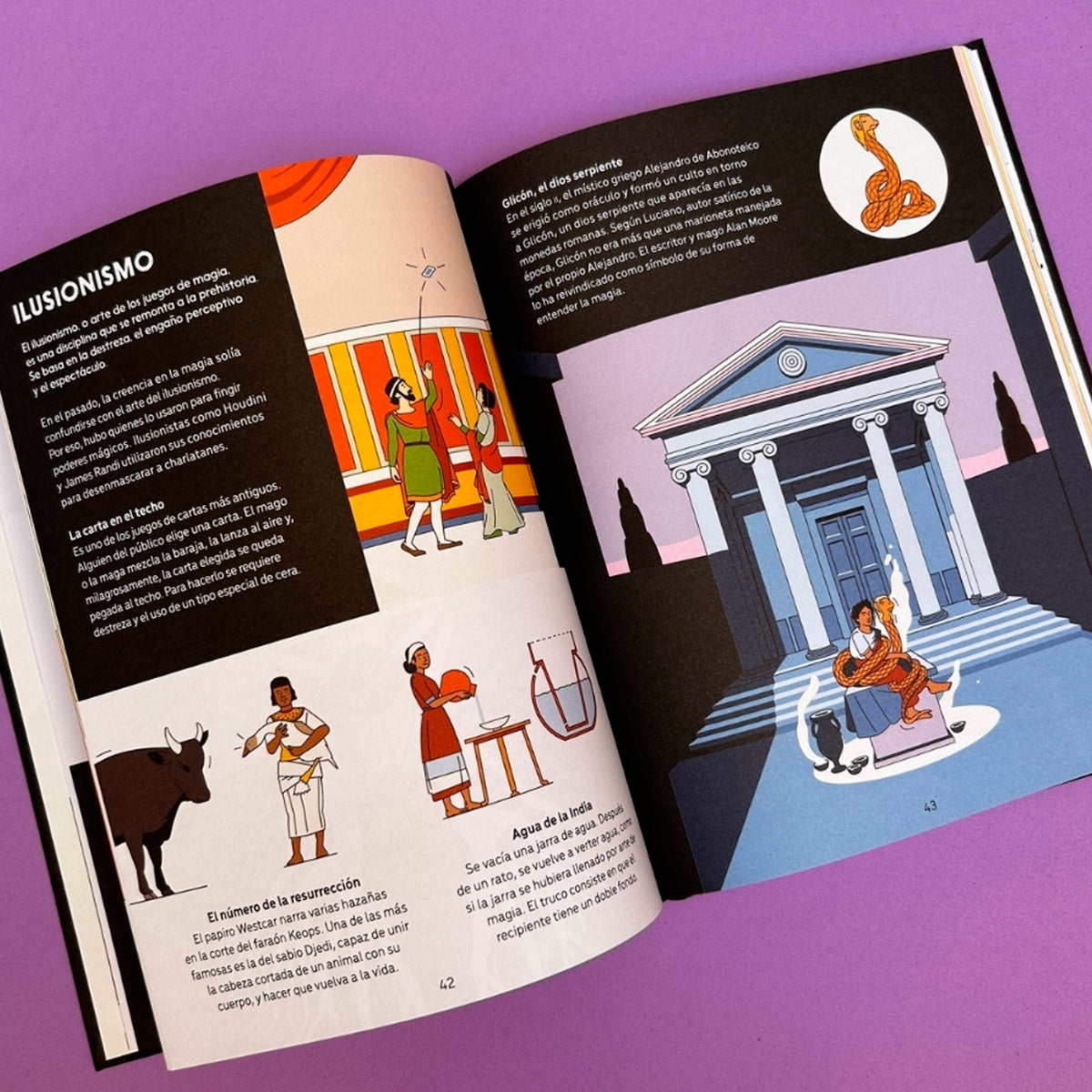 Libro - "Historia ilustrada de la magia" de Adam Allsuch Boardman