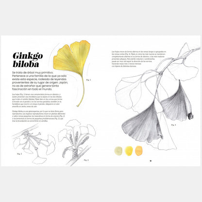 Libro - "Ilustración botánica" de Alba Azaola