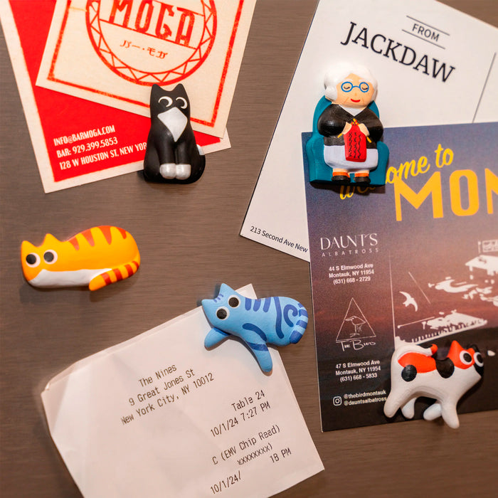 Set Imanes - Señora de los gatos 👵🐈