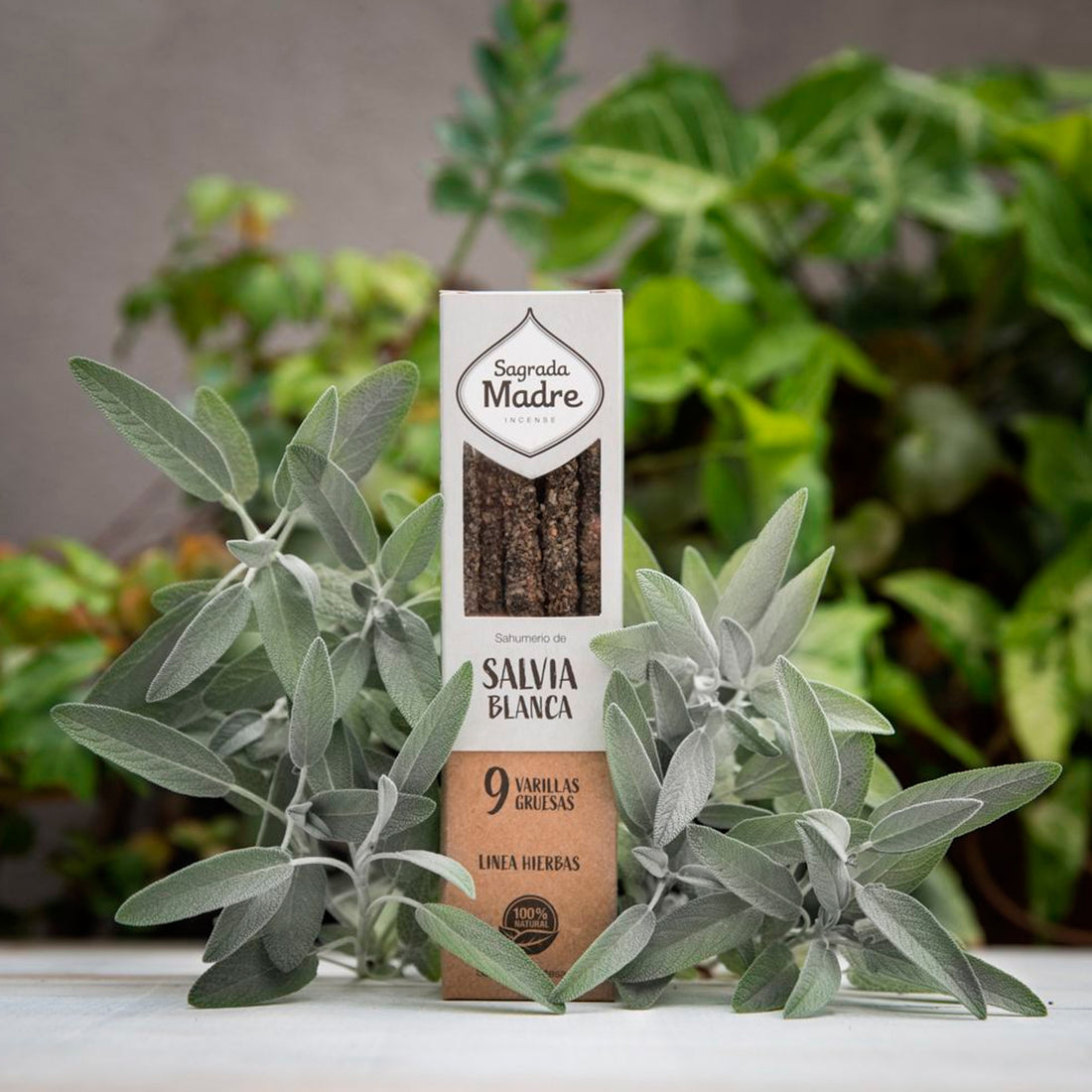 Incienso Sagrada Madre - Salvia Blanca