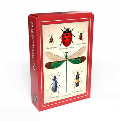 Puzzle Mini - Insectarium 🐞