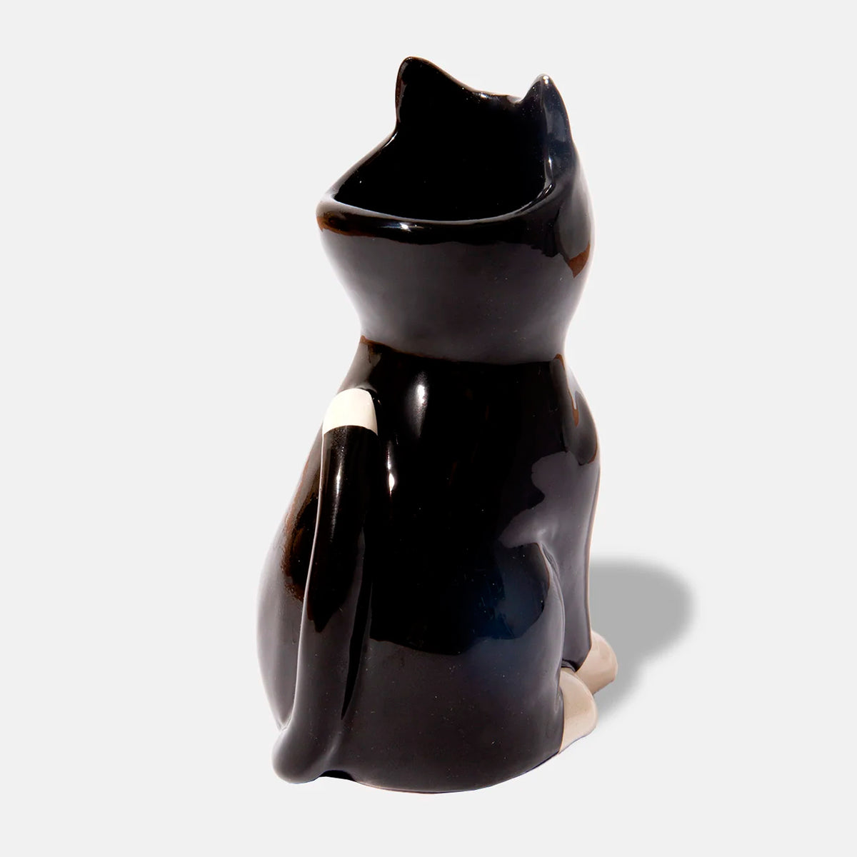 Jarrón DOIY - Cat 🐱