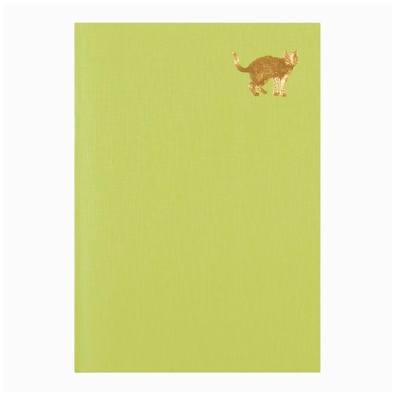 Libreta Midori - Anytime