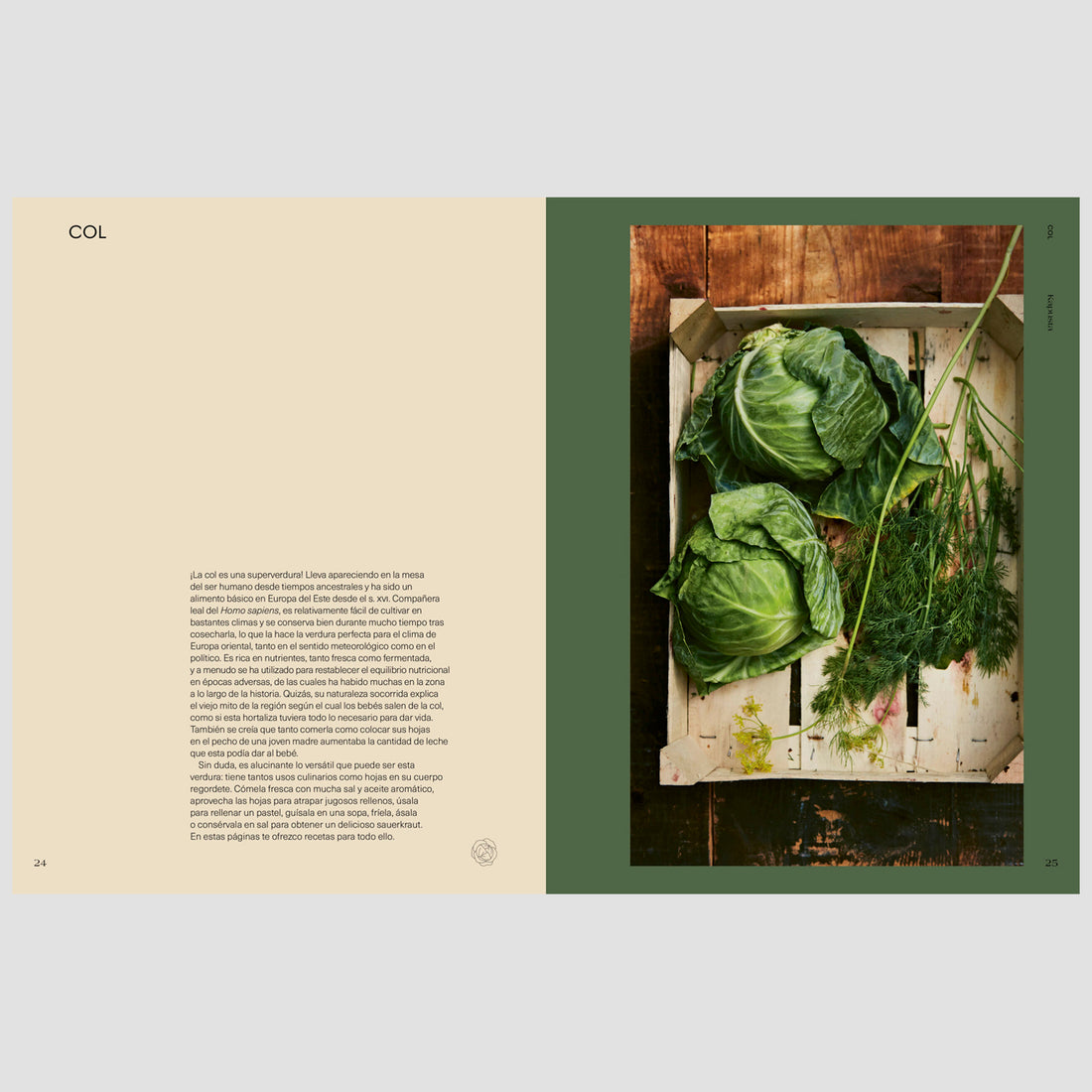 Libro - "Kapusta" de Alissa Timoshkina