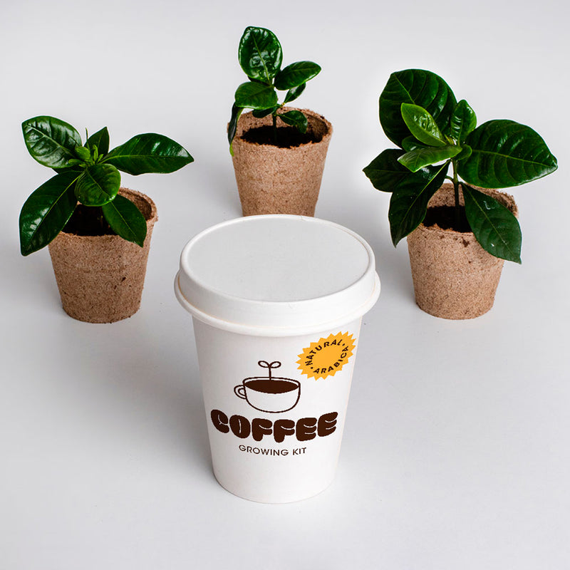 Kit autocultivo -  Café