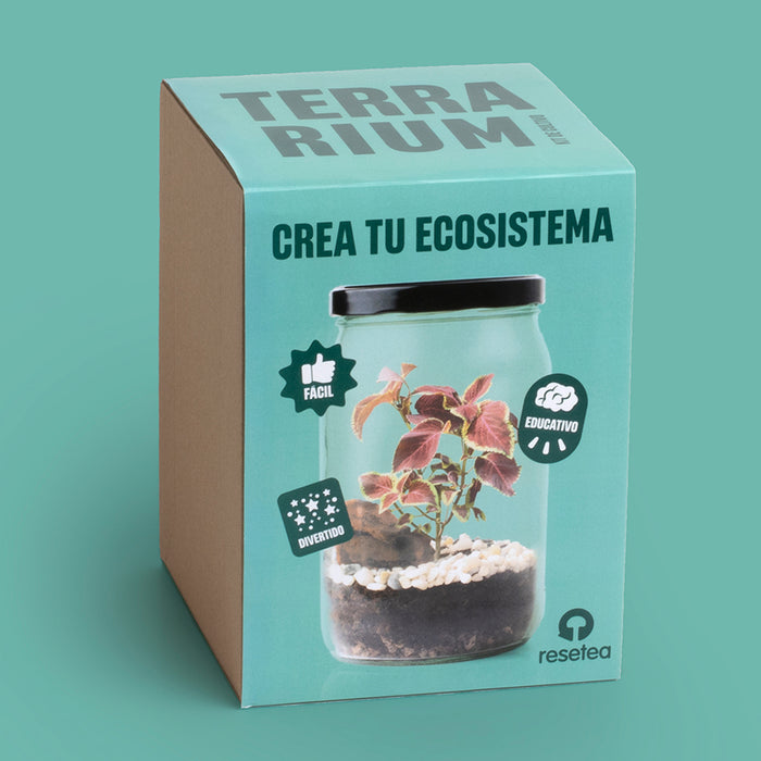 Kit autocultivo -  Terrarium 🌳